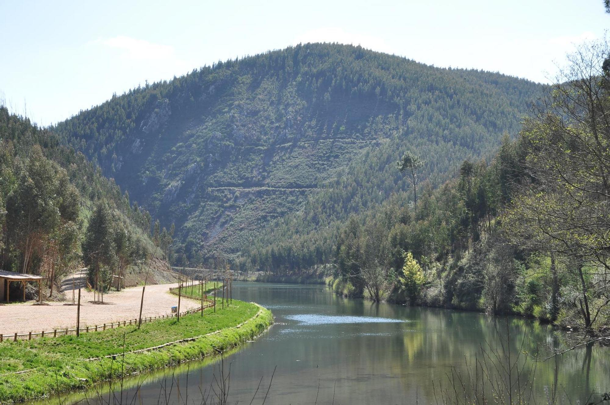 Hotel Rural Solar Das Freiras Figueiro Dos Vinhos Bagian luar foto